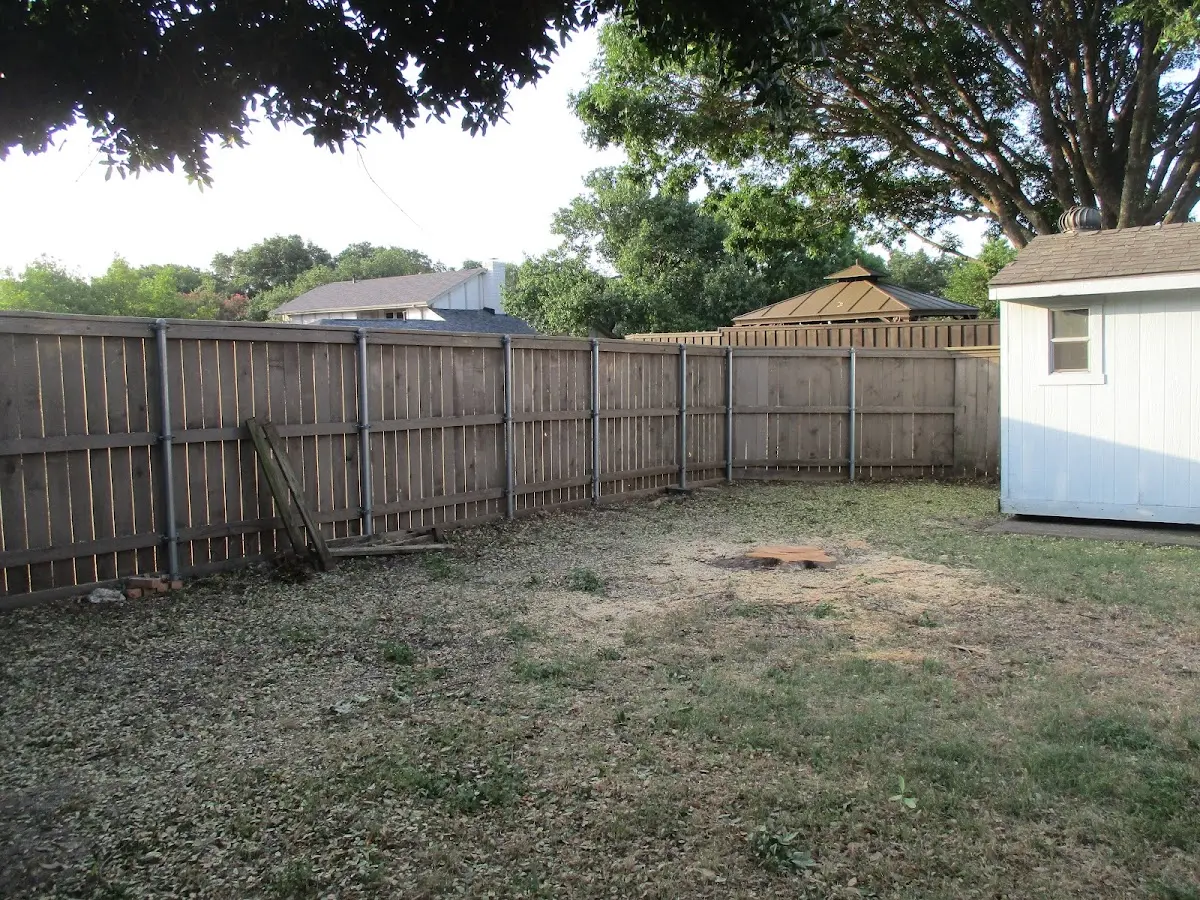 Cleared yard after professional tree removal in Philadelphia